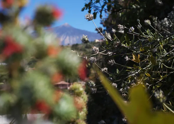 Holiday home Stevier