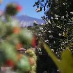 Stevier Feriehus *