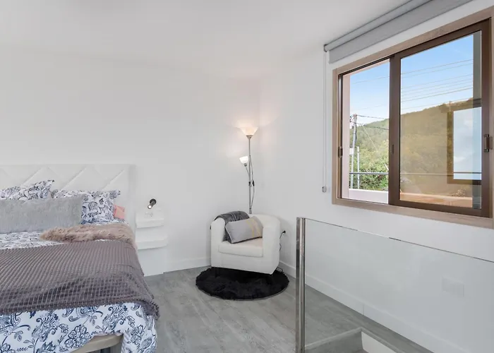 Stevier 伊科德·德·洛斯·维诺斯