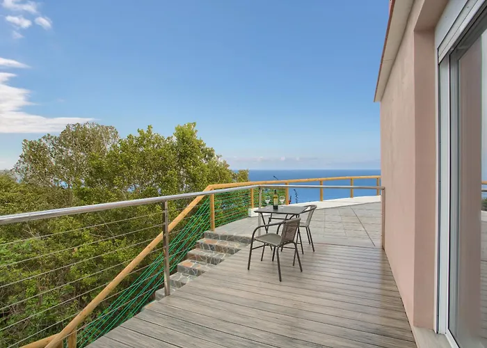 Stevier * 伊科德·德·洛斯·维诺斯